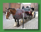Connemara (440)
